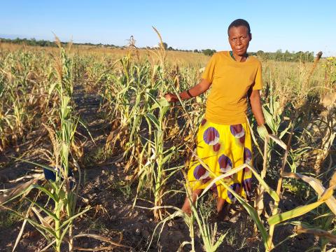 Switzerland responds to Zimbabwe’s Humanitarian Appeal with $2.7 million support to tackle the El Niño induced drought